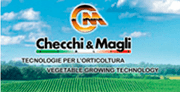 Magrisa Canarias Logo Checchi & Malagli